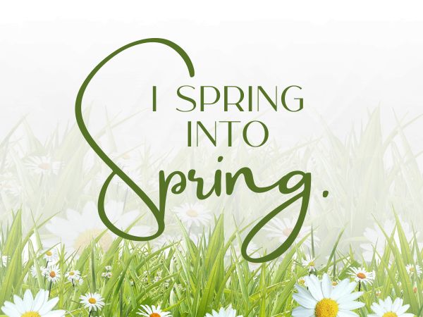 I spring into Spring.